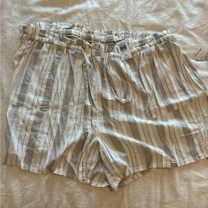Torrid shorts